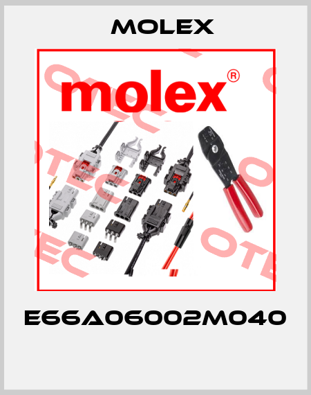 E66A06002M040  Molex