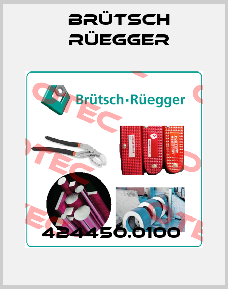 424450.0100  Brütsch Rüegger