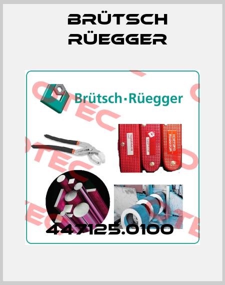 447125.0100  Brütsch Rüegger
