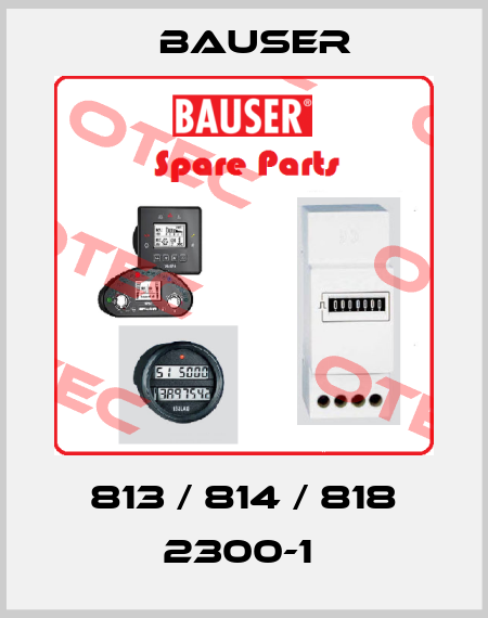 813 / 814 / 818 2300-1  Bauser