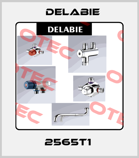 2565T1  Delabie