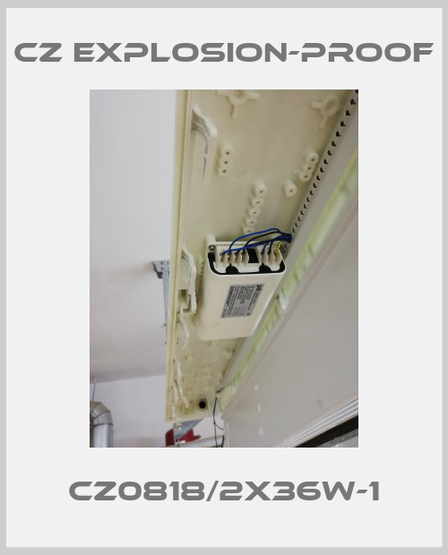 CZ0818/2X36W-1-big