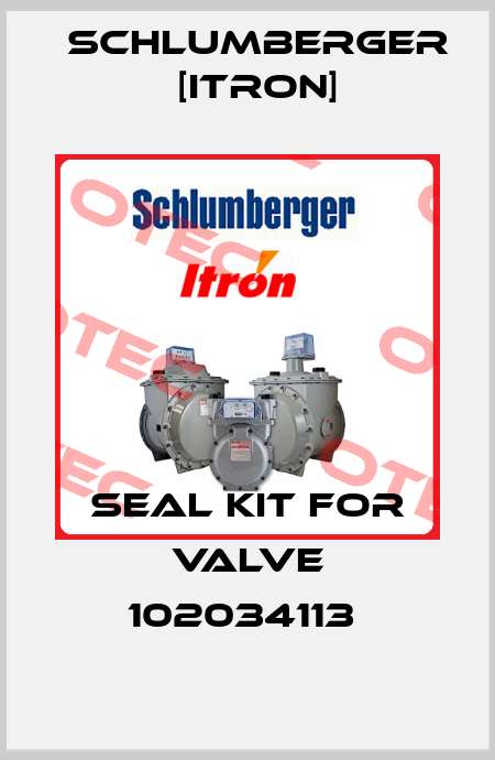SEAL KIT FOR VALVE 102034113  Schlumberger [Itron]