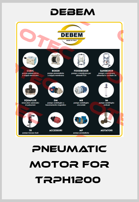 Pneumatic motor for TRPH1200  Debem