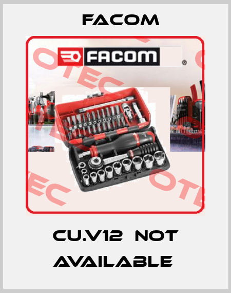 CU.V12  not available  Facom