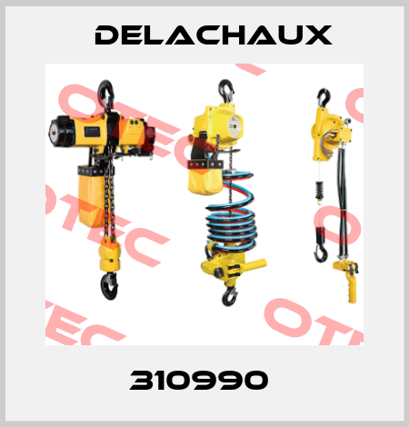 310990  Delachaux