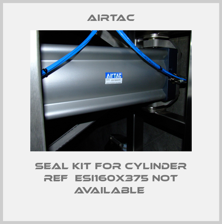 seal kit for cylinder ref  ESI160X375 NOT AVAILABLE -big