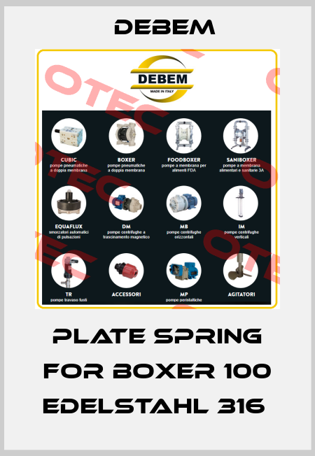 Plate spring for Boxer 100 Edelstahl 316  Debem