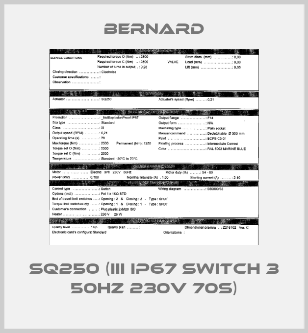 SQ250 (III IP67 Switch 3 50Hz 230V 70s)-big