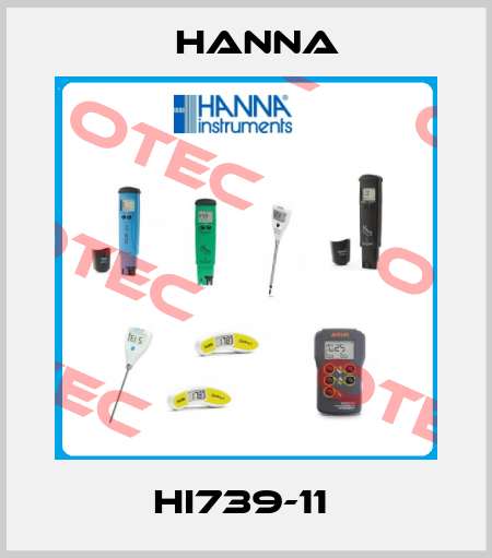 HI739-11  Hanna