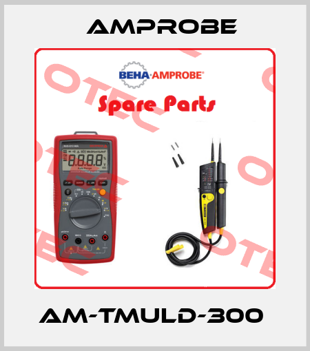 AM-TMULD-300  AMPROBE