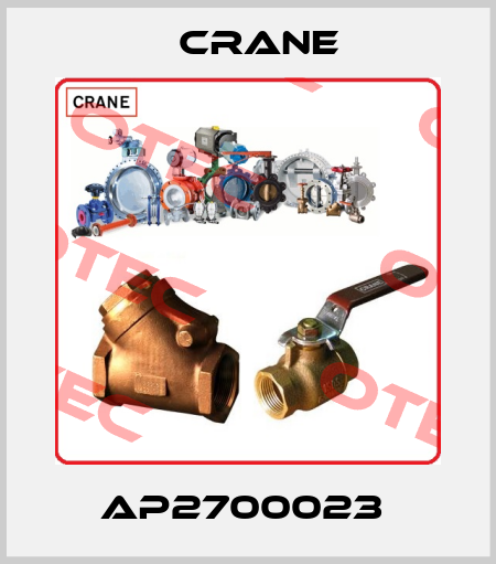 AP2700023  Crane