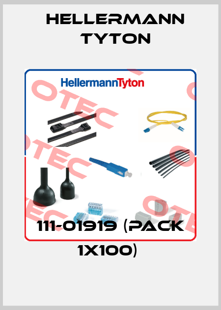 111-01919 (pack 1x100)  Hellermann Tyton