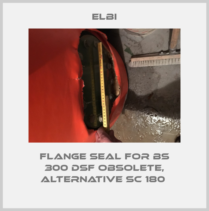 Flange seal for BS 300 DSF obsolete, alternative SC 180 -big