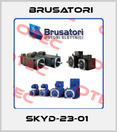 SKYD-23-01  Brusatori