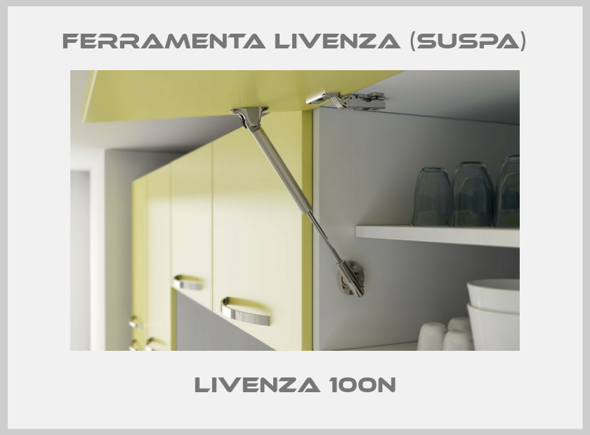 Livenza 100N-big