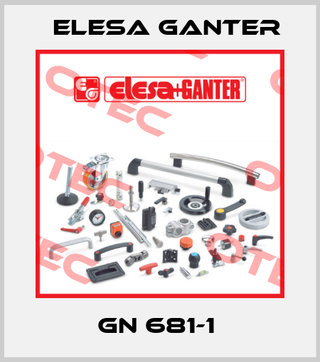 GN 681-1  Elesa Ganter