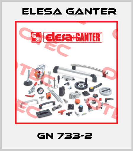GN 733-2  Elesa Ganter