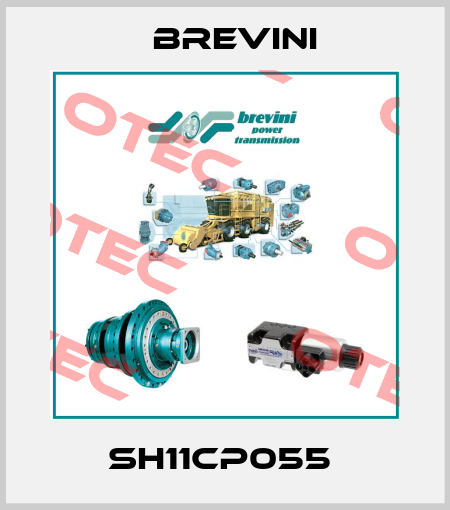 SH11CP055  Brevini