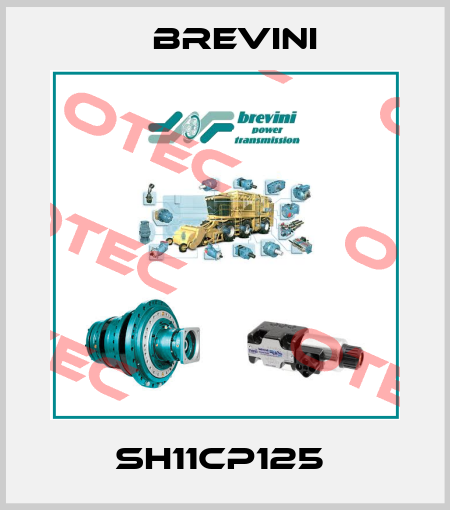 SH11CP125  Brevini