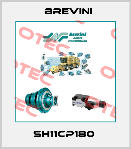 SH11CP180  Brevini