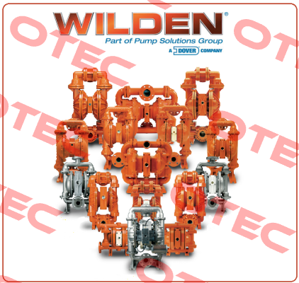  XPX8/SSAAA/EPU/EP/EP/0014 2"  Wilden