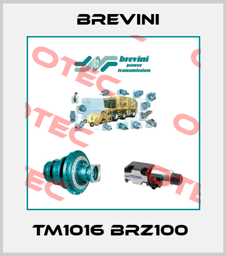 TM1016 BRZ100  Brevini