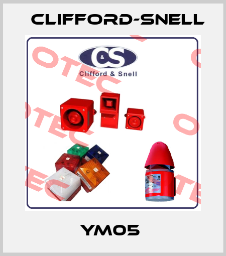 YM05  Clifford-Snell
