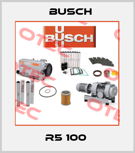 R5 100  Busch