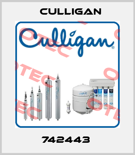 742443  Culligan