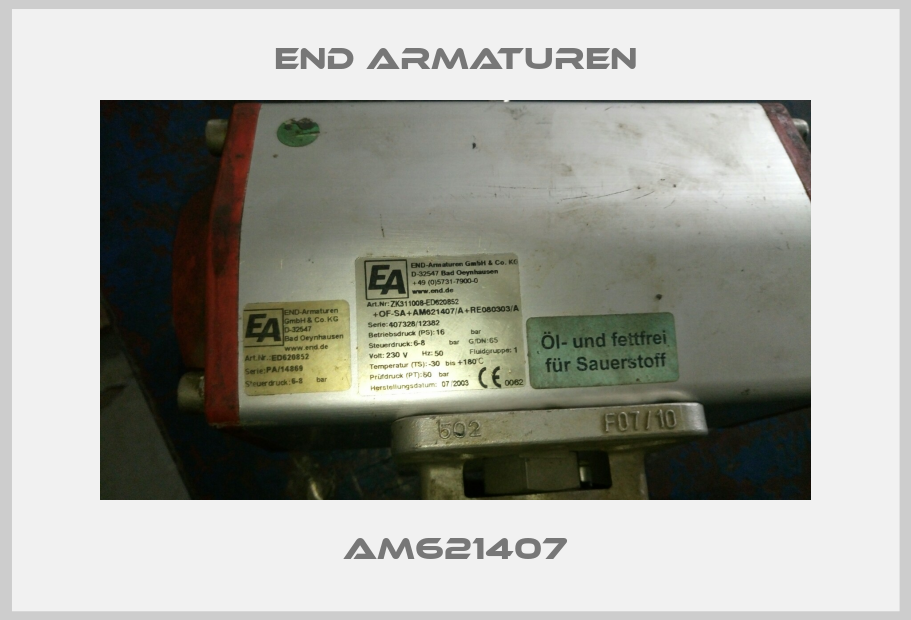 AM621407-big