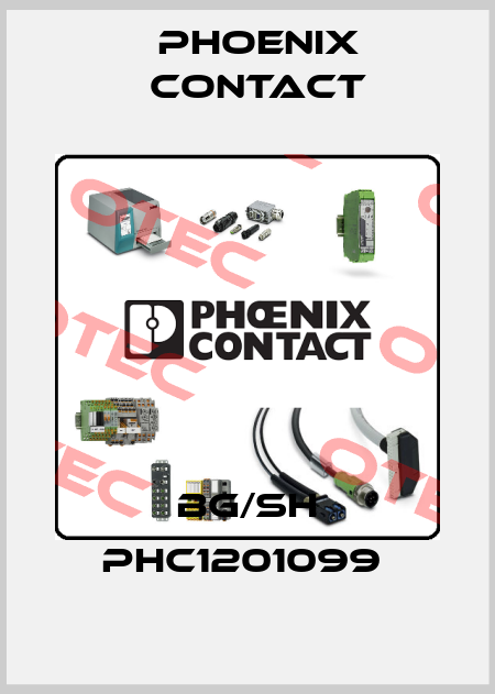 BG/SH PHC1201099  Phoenix Contact