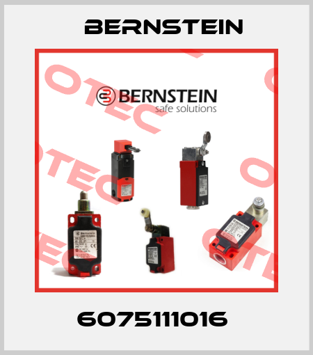 6075111016  Bernstein