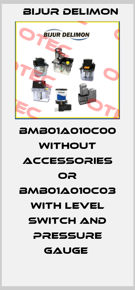 BMB01A010C00 WITHOUT ACCESSORIES OR BMB01A010C03 WITH LEVEL SWITCH AND PRESSURE GAUGE  Bijur Delimon