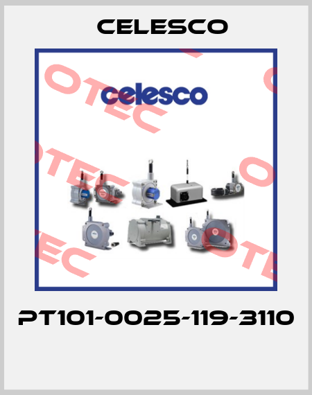 PT101-0025-119-3110  Celesco