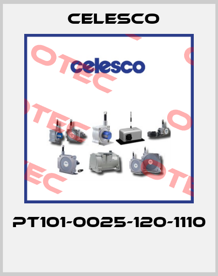 PT101-0025-120-1110  Celesco