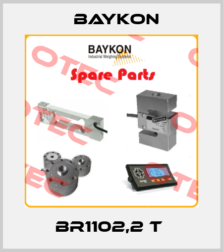 BR1102,2 t  Baykon