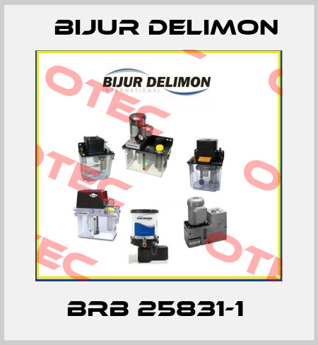 BRB 25831-1  Bijur Delimon