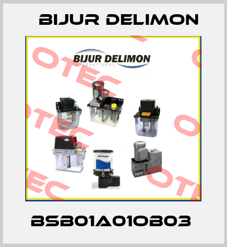 BSB01A01OB03  Bijur Delimon