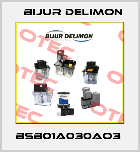 BSB01A030AO3  Bijur Delimon