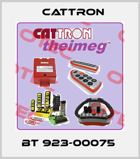 BT 923-00075  Cattron
