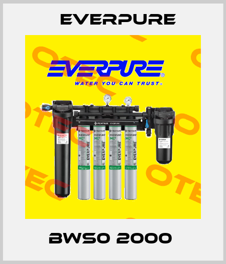 BWS0 2000  Everpure