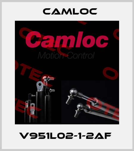 V951L02-1-2AF  Camloc
