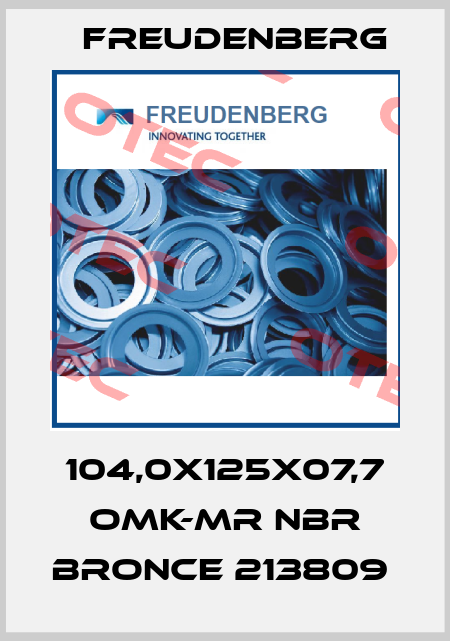 104,0X125X07,7 OMK-MR NBR BRONCE 213809  Freudenberg
