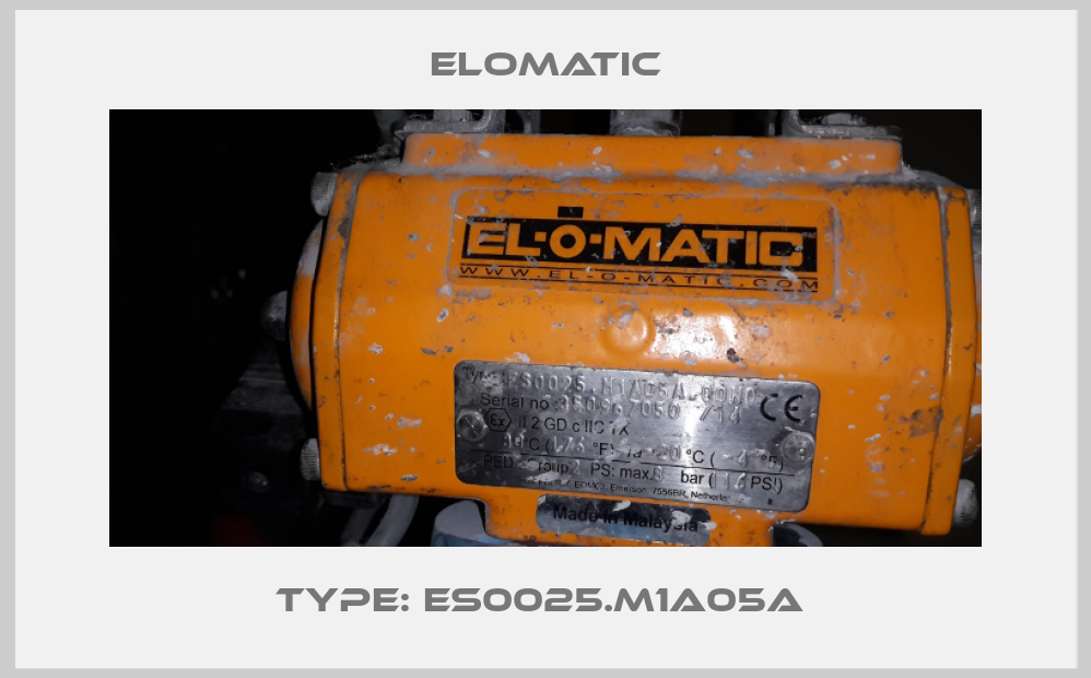 Type: ES0025.M1A05A -big