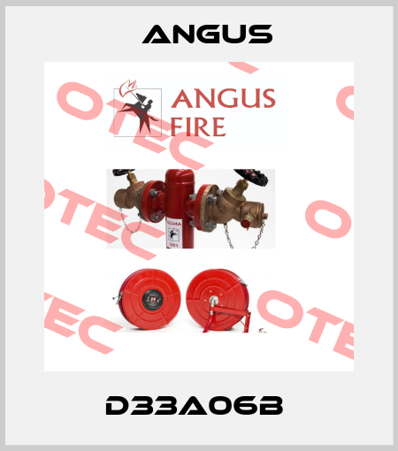 D33A06B  Angus