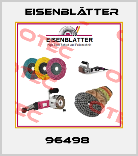 96498  Eisenblätter