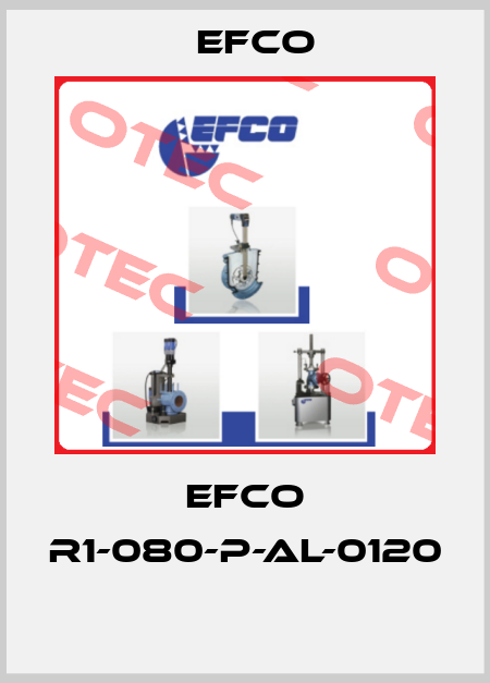 EFCO R1-080-P-AL-0120  Efco