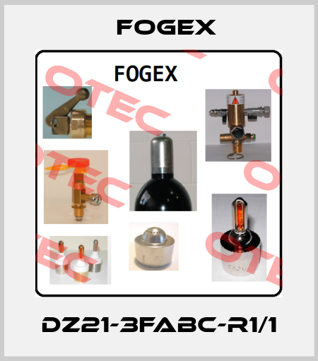 DZ21-3FABC-R1/1 Fogex