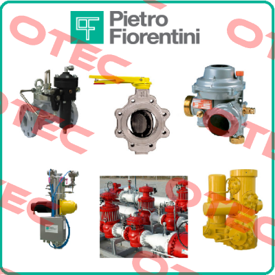 Trunnion  Pietro Fiorentini